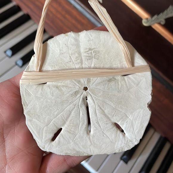 Hand painted sand dollar - Picture 8 of 13